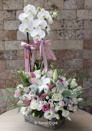 Orchid and Arrangement Series 1